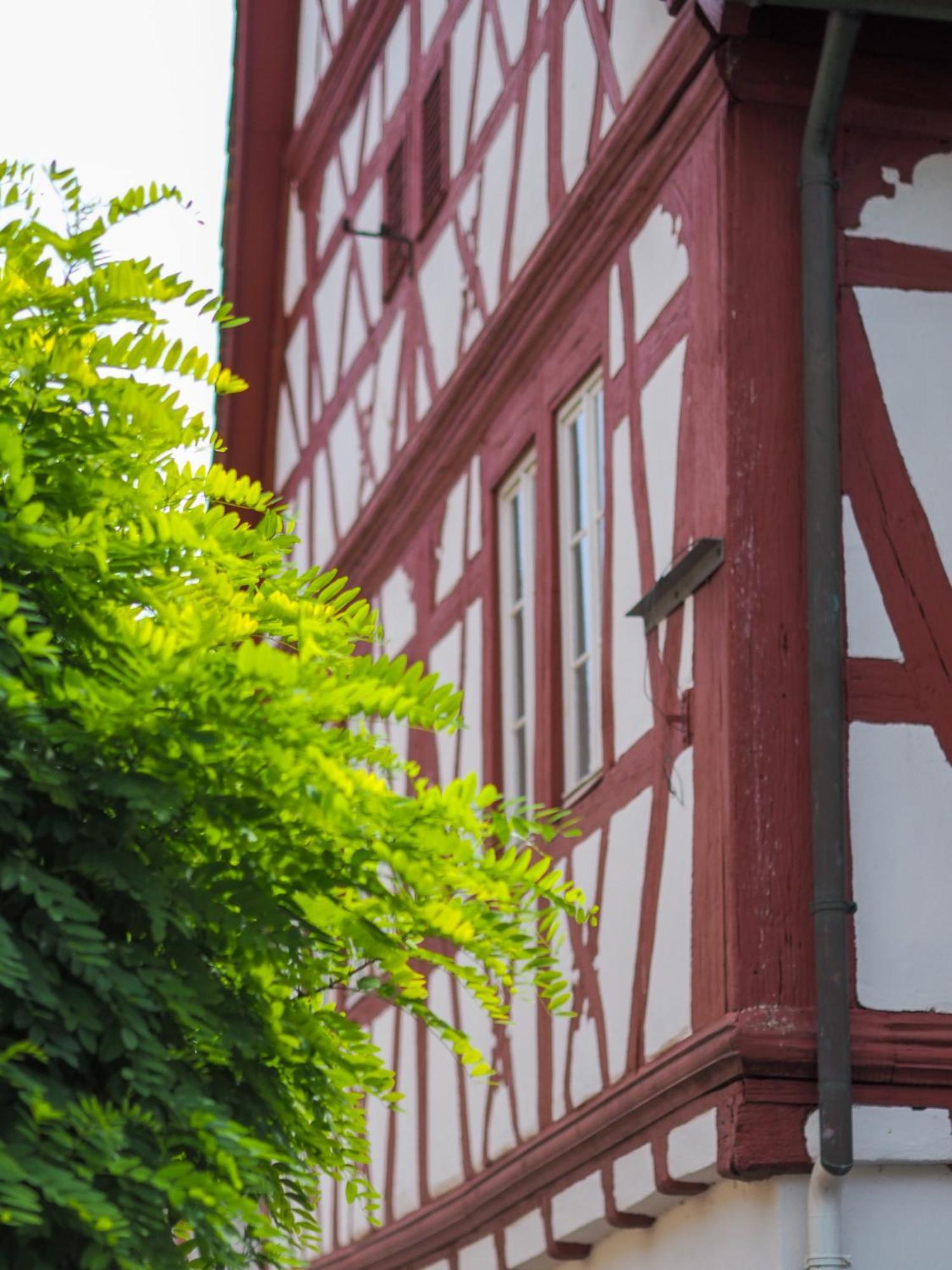 Weinstrasse No 8 "Einfach-Gut-Uebernachten" Leinsweiler Buitenkant foto